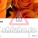 CREATOR: gd-jpeg v1.0 (using IJG JPEG v62), quality = 100